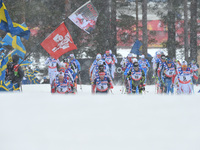 Men 50km Mass Classic at FIS Nordic World Ski Championship 2015 in Falun, Sweden. 1 March 2015. 