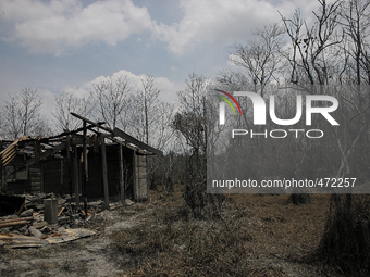 In this photo taken on March 7, 2015, trees and houses were damaged by the eruption of Mount Sinabung recently as seen in the background in...