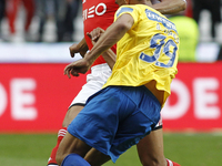 Benfica's Brazilian defender Anderson Silva 