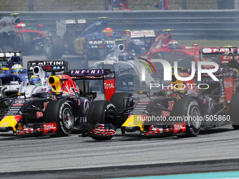 Australian Daniel Ricciardo (front-L) of Infiniti Red Bull Racing and teamates Russian Daniil Kvyat (front-R) of Infiniti Red Bull Racing co...
