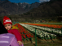 SRINAGAR, INDIAN ADMINISTERED KASHMIR, INDIA -APRIL 07: A Kashmiri woman holds her child as she looks towards Tulips in Siraj Bagh Tulip gar...