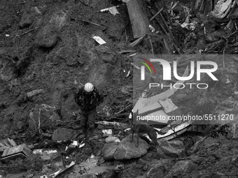 (EDITOR'S NOTE: Image was converted to black and white) A fireman and a sniffer dog walk on the rubble looking for victims after the collaps...