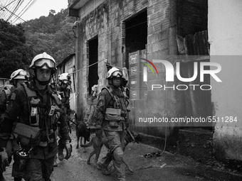 (EDITOR'S NOTE: Image was converted to black and white) Military fire brigade and sniffer dogs walk through the alleys after the collapse th...