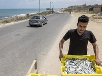 Palestinian fishermen displays the day's catch in the street near the beach in the Az-Zawayda area of the central Gaza Strip, on 27 May, 202...