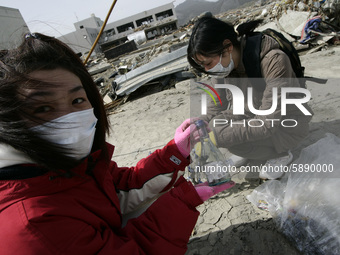 March 20, 2011-Rikuzen Takata, Japan-Native Survivors collect their house hold on debris and mud covered at Tsunami hit Destroyed city in Ri...