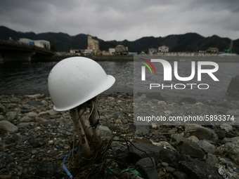 March 25, 2011-Kamaishi, Japan-Helmet hanging on a tree at debris and mud covered at Tsunami hit Destroyed mine town in Kamaishi on March 25...
