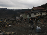 March 25, 2011-Kojirahama, Japan-Native survivor collect their house hold on mud covered at Tsunami hit Destroyed fishing village in Kojirah...