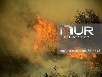 Huge Forest fire is burnig between the villages of Balgarin, Rogozinovo and the town of Kharmanli, Bulgaria, which are located some 30 kilom...