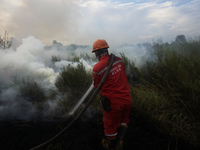 The Indonesian National Army, BNPB and Manggala Agni extinguished forest and land fires in KTM Village, Ogan Ilir Regency, South Sumatra, In...