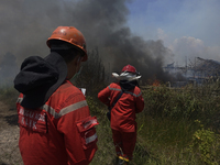 Firefighters are extinguishing the fire of land and forest fires that grabbed a chicken coop in Ogan Ilir Regency, South Sumatra, Monday, Au...
