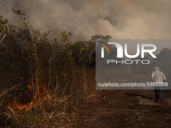 Fight against wildfire out of control at Rosario farm in Pocone, Mato Grosso, Brazil, on August 23, 2020. the fire would actually be control...