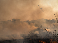 Fight against wildfire out of control at Rosario farm in Pocone, Mato Grosso, Brazil, on August 23, 2020. the fire would actually be control...