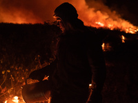 Fight against wildfire out of control at Rosario farm in Pocone, Mato Grosso, Brazil, on August 23, 2020. The fire would actually be control...