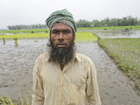 A farmer poses for a picture at a pabby field in Jamalpur District, Bangladesh, on September 24, 2020.  (