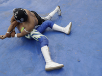 Members of Chinampaluchas, during a wrestling function in the chinampa of Lake Xochimilco during the health emergency due to COVID-19 in Mex...