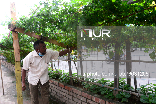 A man cultivation vegetable on the side of busy road in Dhaka city in Bangladesh, on September 25, 2020  