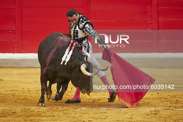 Spanish bullfighter Enrique Ponce performs a pass with 'capote' on a bull during the Virgen de las Angustias Bullfighting Festival at the Mo...