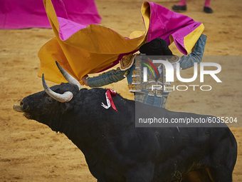 Spanish bullfighter Sebastian Castella performs a pass with 'capote' on a bull during the Virgen de las Angustias Bullfighting Festival at t...