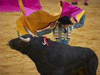 Spanish bullfighter Sebastian Castella performs a pass with 'capote' on a bull during the Virgen de las Angustias Bullfighting Festival at t...