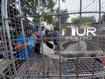 Buyers wearing face masks as a precaution against coronavirus crowd a weekly pet market. Birds , Rabbits, Fish, Dog shale at the weekly pet...