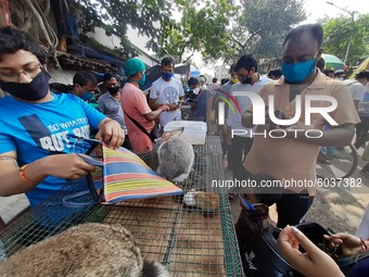 Buyers wearing face masks as a precaution against coronavirus crowd a weekly pet market. Birds , Rabbits, Fish, Dog shale at the weekly pet...
