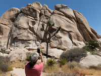 A person is seen taken a picture in Joshua Tree National Park in Joshua Tree, California, US, on September 1 , 2020. (