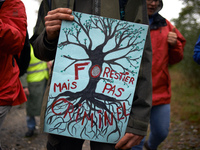 A protester shows a placard depicting a tree and reading 'Forester but not criminal'. Several associations, political parties and people cal...