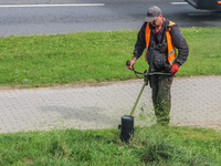 Worker mowing grass with a brush cutter, lawn mower is seen in Gdynia, Poland, on 17 September 2020  (