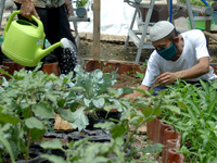 During the pandemic, residents used the remaining land on site to make urban farming in Malaka Sari, Duren Sawit, Jakarta, on October, 16, 2...