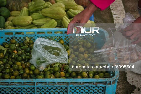 Riders and tourist from nearby city are buying fresh vegetables from Daraitan, Tanay sold along Marilaque Road on October 17, 2020. 