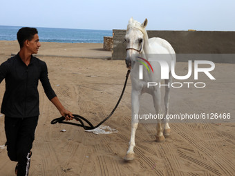 A Palestinian youth man leads his horse in Gaza City, October 26, 2020. (