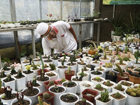 Cactus cultivation in Palembang has seen an increase in sales since the coronavirus outbreak spread.
A man wearing a face shield is taking...