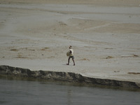 An indian fisherman moves towards river bank of River Gangga to catch fishes during a hot day in Allahabad on June 1,2015. (