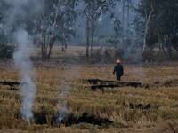 A farmer burns paddy stubble at a village in Punjab, India on 01 November 2020.  Stubble burning rises, air quality remains 'very poor' in D...