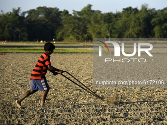 Child plowing soil  to plant potato seeds on a farm at a village in Barpeta, India on 08 November 2020. Total vegetable crops production of...