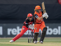 Sophie Devine of the Scorchers bats during the Women's Big Bash League WBBL match between the Perth Scorchers and the Melbourne Renegades at...