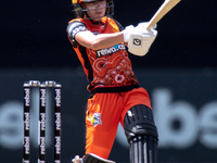 Chloe Piparo of the Scorchers bats during the Women's Big Bash League WBBL match between the Perth Scorchers and the Melbourne Renegades at...
