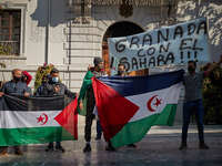 Protesters with Saharan flags and a placard that says 'Granada with the Sahara' during a demonstration to demand the end of Morocco's occupa...