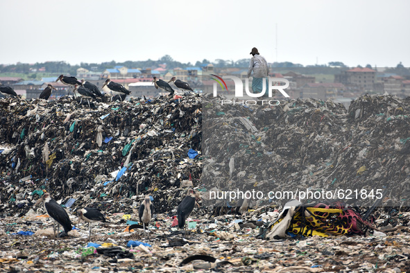 (150605) --NAIROBI, June 5, 2015() -- A scavenger walks on top of the pile of garbage at Dandora dumpsite on the suburb of Nairobi, Kenya, J...