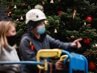 Representatives of the British Christmas Tree Growers Association (BCTGA) decorate the annual Downing Street Christmas tree outside 10 Downi...