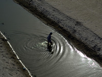 Indian men crosses the shrinked and polluted River Ganges,due to hot weather, in Allahabad on June 5,2015,World Environment day.World enviro...