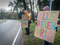 activists at the main road near the entrance of the Zoo  during a demonstration of animal rights activists in Amersfoort, on November 28, 20...