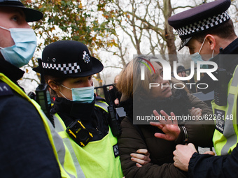 An anti-lockdown activist is arrested at Marble Arch during a demonstration in London, England, on November 28, 2020. In an evening update t...