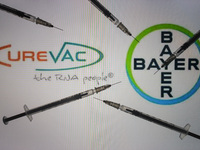 An illustrative image of medical syringes in front of CureVac and Bayer logos displayed on a screen.
On Friday, January 8, 2020, in Dublin,...