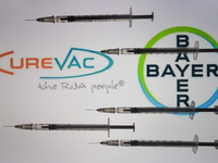 An illustrative image of medical syringes in front of Bayer and CureVac logos displayed on a screen.
On Friday, January 8, 2020, in Dublin,...