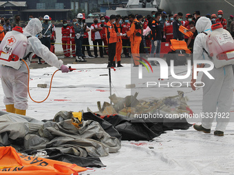 Officers spray disinfectant liquid to the Sriwijaya Air plane's debris was collected at the evacuation center located at Port of Tanjung Pri...