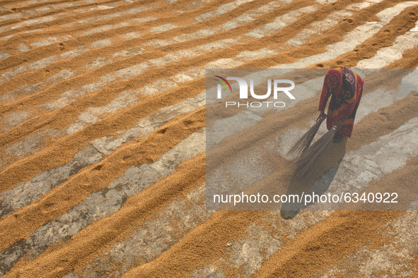 Woman worker works in a rice processing mill in Munshiganj near Dhaka Bangladesh on January 11, 2021 