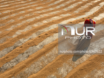 Woman worker works in a rice processing mill in Munshiganj near Dhaka Bangladesh on January 11, 2021 (