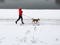 A woman is walking a dog in a park covered with snow in Krakow, Poland. January 14, 2021.  (