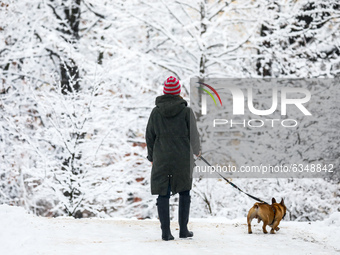 A woman is walking a dog in a park covered with snow in Krakow, Poland. January 14, 2021.  (
